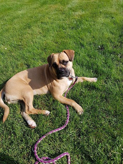 19657090_842239452596276_1149906160535155023_n