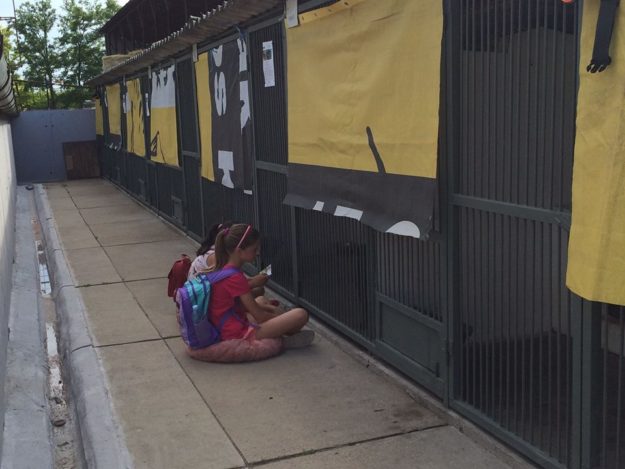 19884036_843644825789072_518368612272295708_n