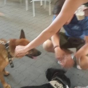 20604530_858060821014139_7484529456548131315_n