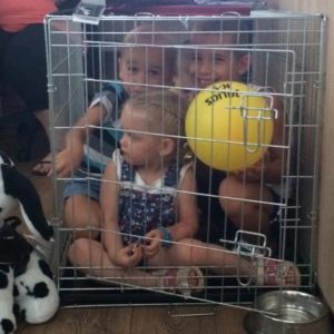 20727854_864123523741202_3726506792860522407_n