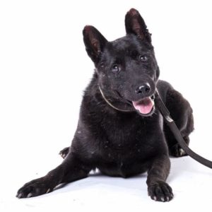 14287598_1198533653532615_178117033_n