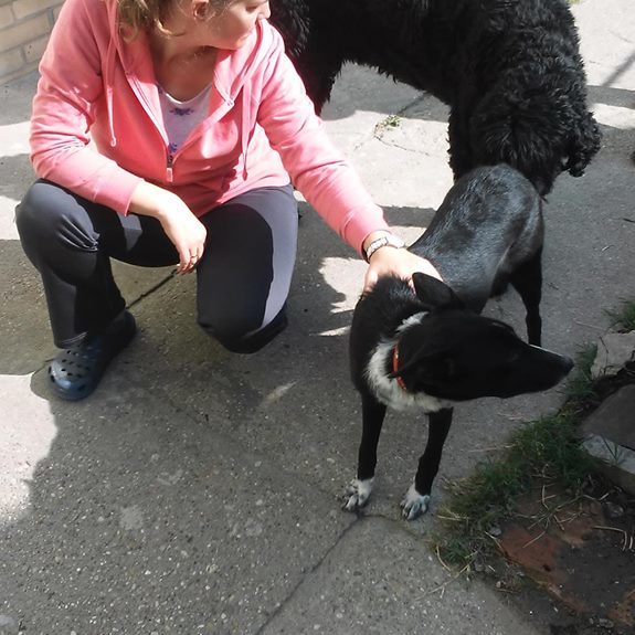 21766642_886998571453697_3973349670817749072_n