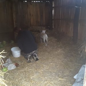 22688481_901103170043237_7868255579065931141_n