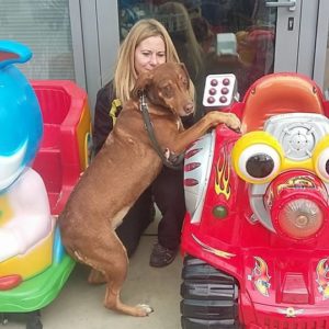 23113562_1620158518036791_1484693786_n