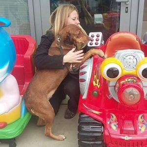 23113634_1620157944703515_1858188145_n