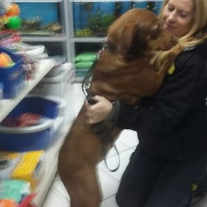 23114810_1620158028036840_1635352919_n