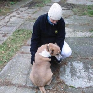 25443217_930751480411739_5542687134370841268_n