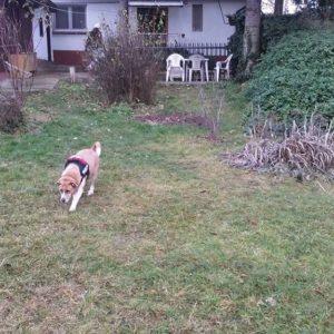 25446178_930751503745070_5753571313549876820_n