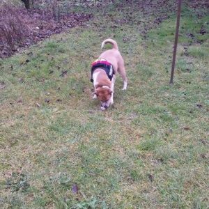 25592093_930751527078401_6813720767537896961_n