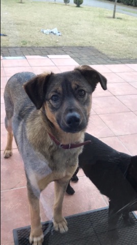 27939272_10215702579148008_480491137_n