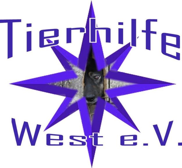 28378705_970712466415640_1186065757189637167_n