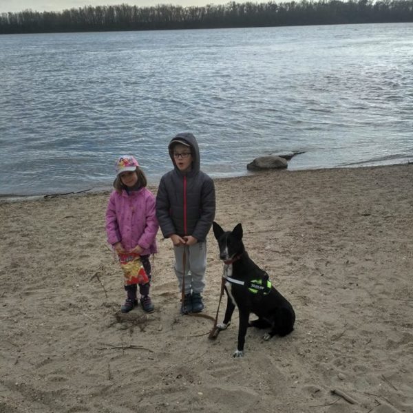 29356225_983158845171002_3142990559644221440_n