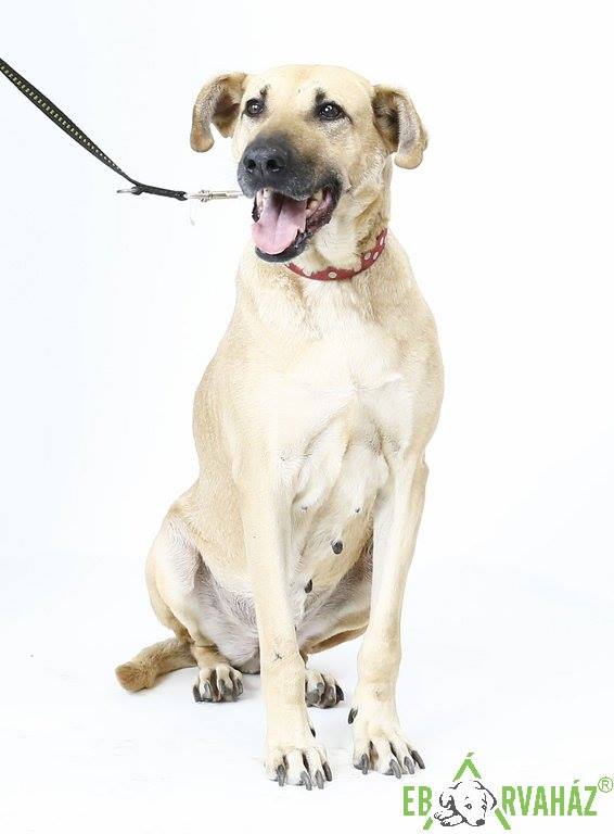 29356694_983168371836716_7842888295729070080_n