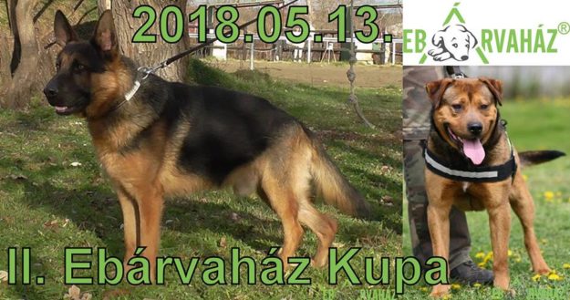 29496134_984757545011132_4438202977852850176_n