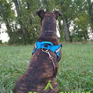 Ranielle23 Ranielle23