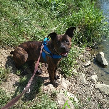 Ranielle26 Ranielle26