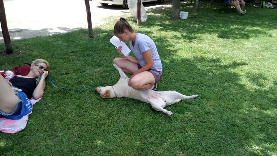 32912063_1675547452480295_7664807136181878784_n