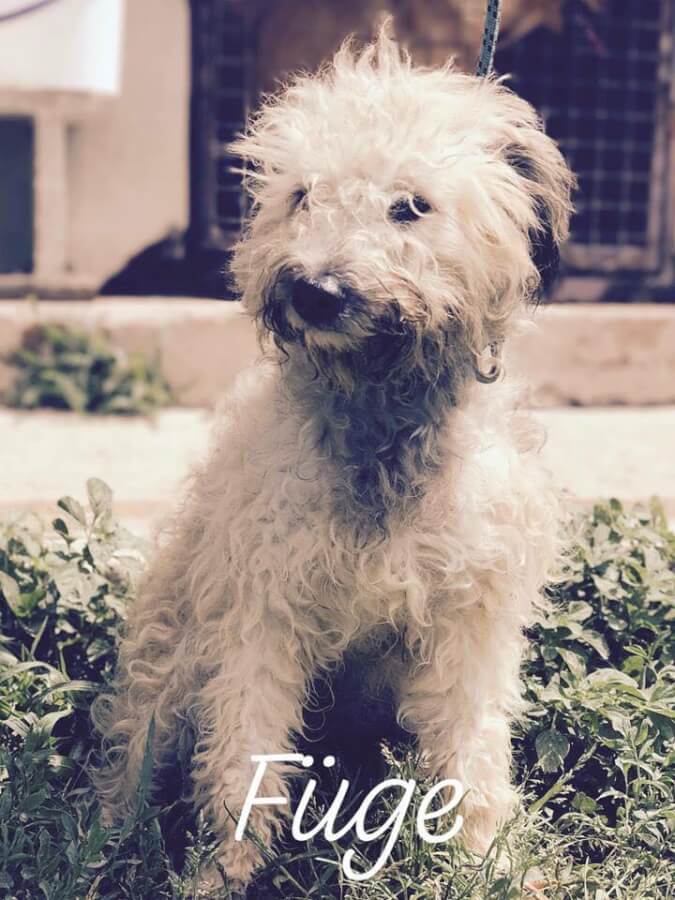 41721302_1119883114831907_4835151758088994816_n