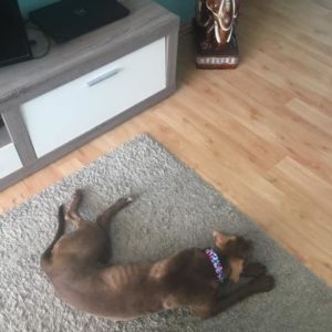 44225881_1146219668864918_8843284679747436544_n