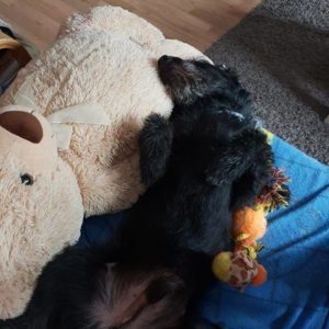 47261140_1178420435644841_2612779166235361280_n