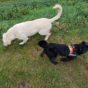 47317997_1178420395644845_5223742978643722240_n