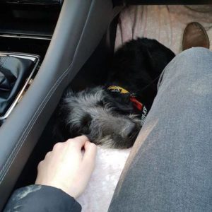 47384478_1178420448978173_4925667047095926784_n