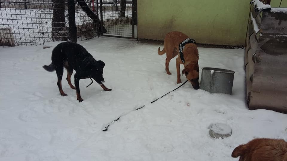 49789468_1204925672994317_6053237958209699840_n