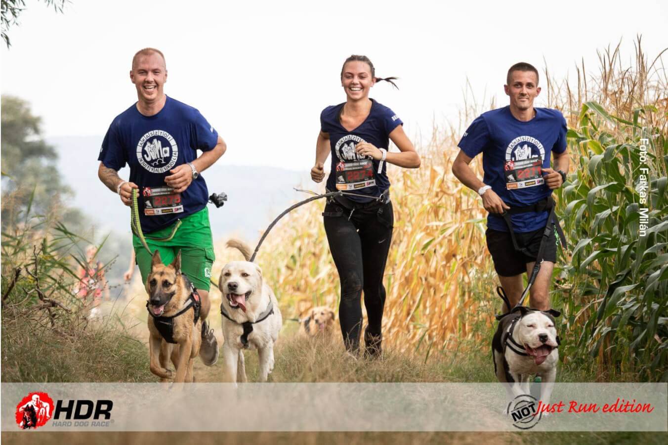 50309794_2079794352064029_1371071771268087808_o