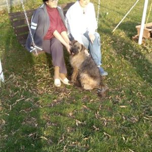 54521426_1253503804803170_6498399064898404352_n