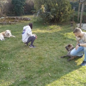 54798229_1253503874803163_1950987017307291648_n