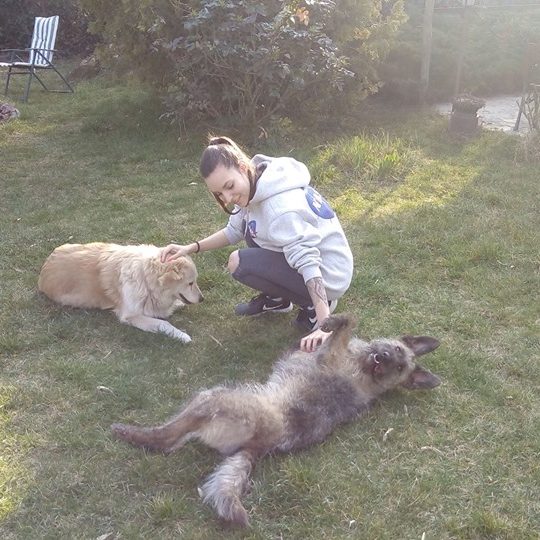 55613077_1253503794803171_3345308820938162176_n