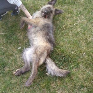 55849389_1253503858136498_9127741622186934272_n