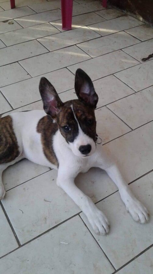 65387444_1323544794465737_3949339445055979520_n