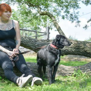 blacky1 másolata blacky1 másolata