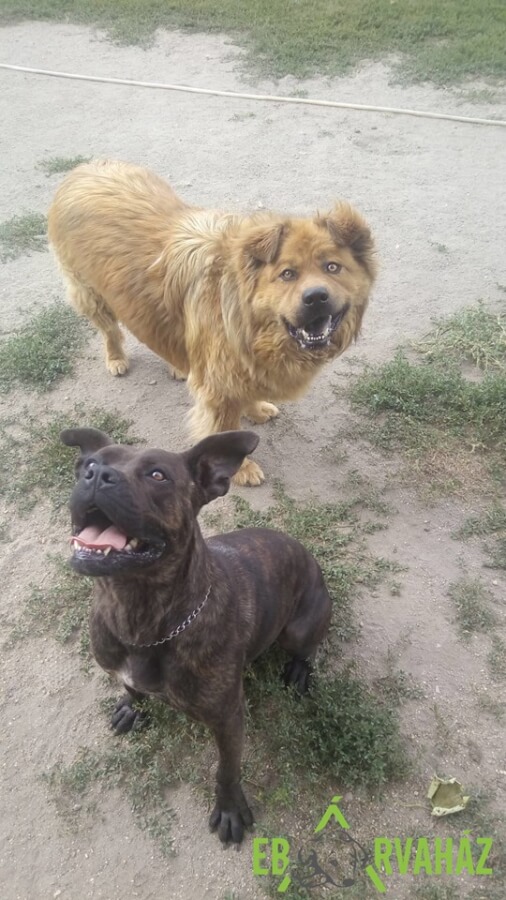 66616228_1331477847005765_435917160246673408_n