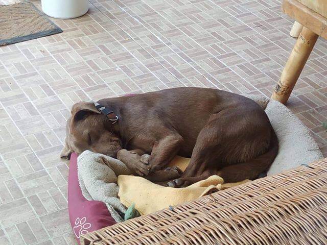 68644706_1356667231153493_1347019782611795968_n