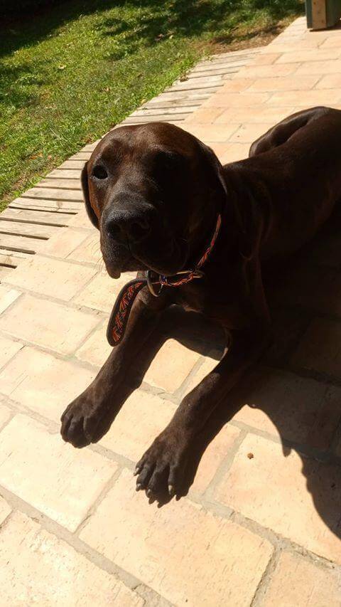 69204185_1365628620257354_4166650406388105216_n