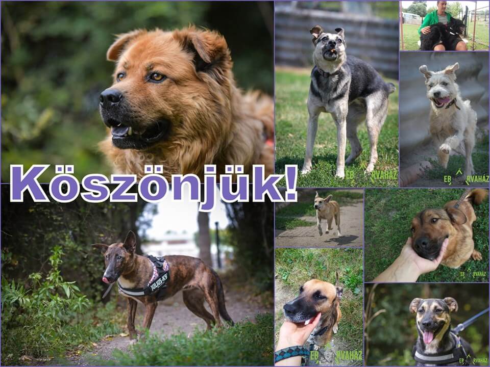 69574505_1372445946242288_7115076319003541504_n