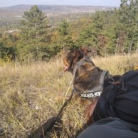 Wilson_2019.10.19._1