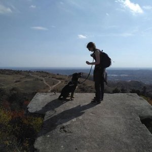 Wilson_2019.10.19._2