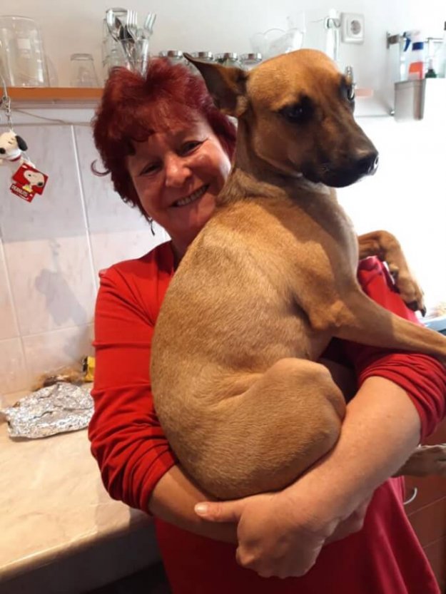 74409251_1423295501157332_306162916879499264_n