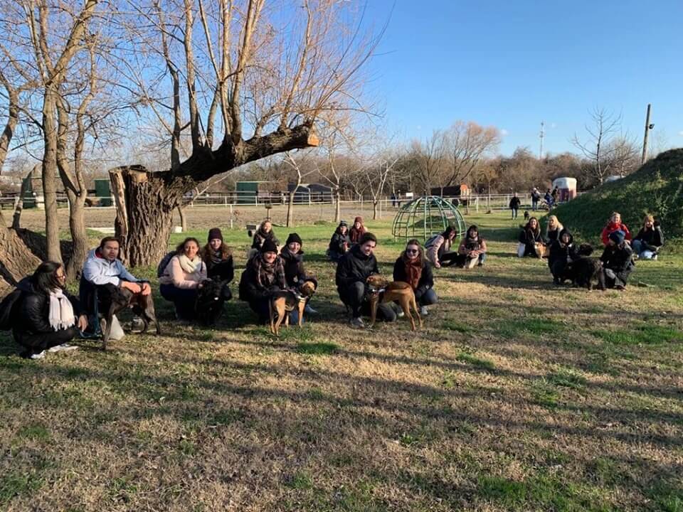 78759233_1453700868116795_3302661758488936448_n