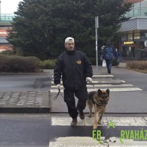 83122268_1512425092244372_2828044434644402176_n