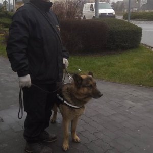 83145022_1512425122244369_4801005642804363264_o