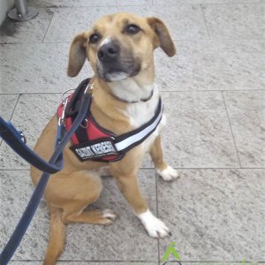 83228928_1512425108911037_8577079664688758784_o