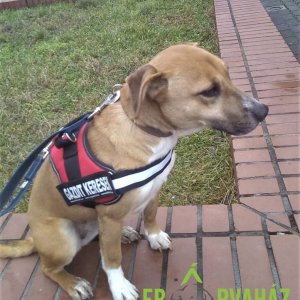 84415214_1512424998911048_6039819466764713984_o