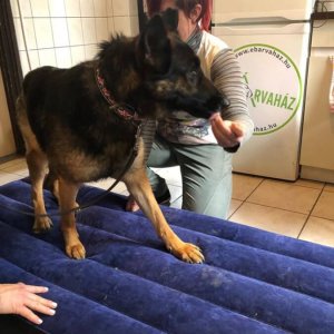 84321437_1519030361583845_7038572707964780544_o