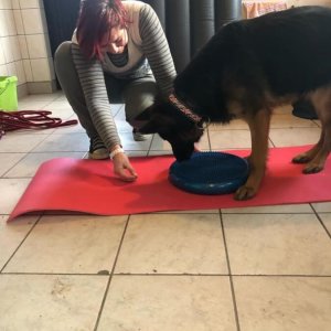 84359391_1519030264917188_8165204511594381312_o