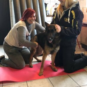 84398067_1519030118250536_8048663318501523456_o