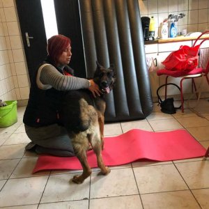 84712956_1519030024917212_8763044636139716608_o